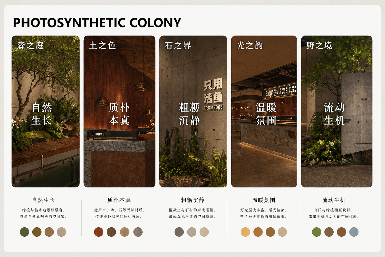 分析.jpg